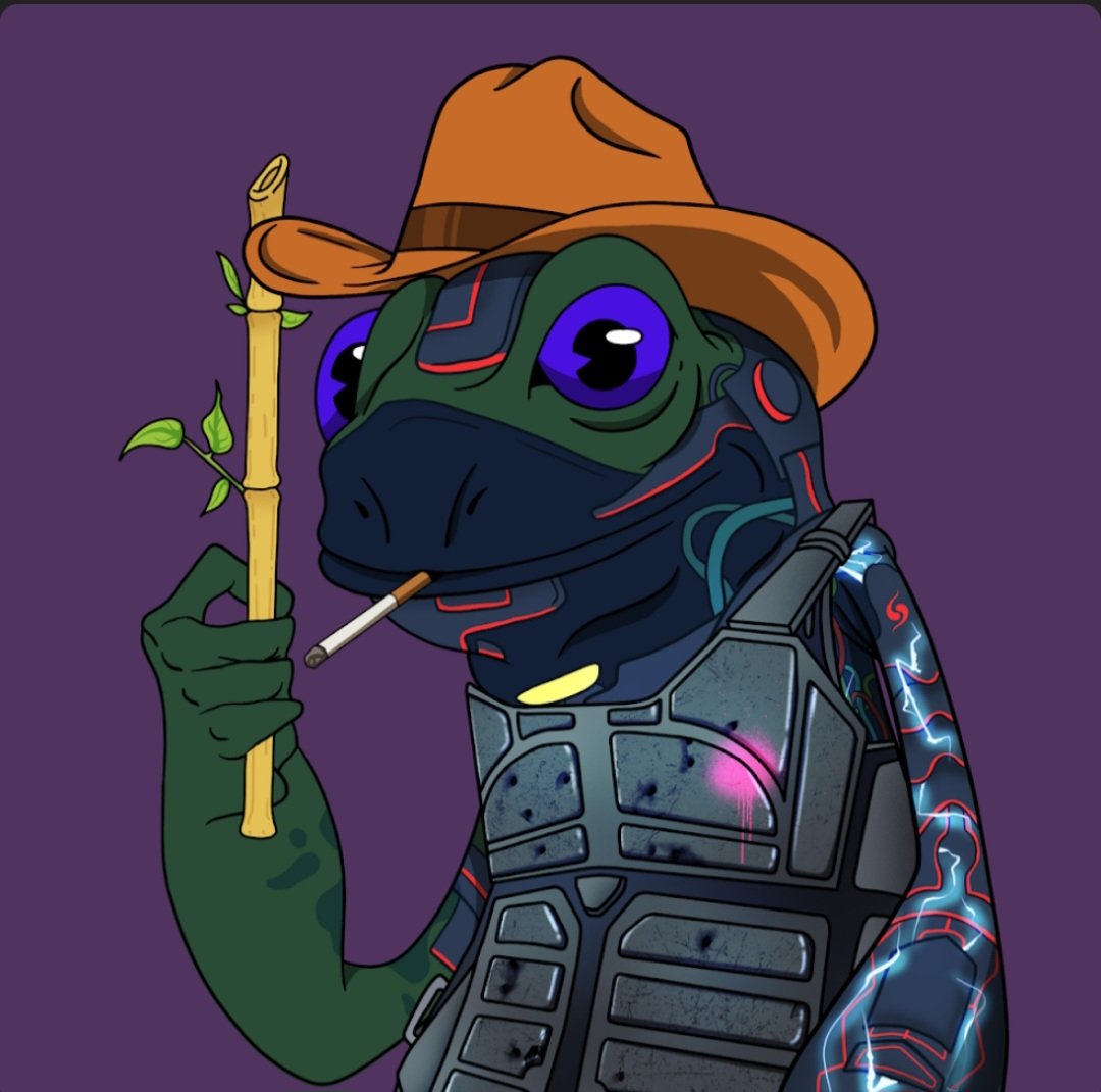 Howdie cowboy, welcome to my pond. I've heard @AndyRewNFT
 say the new art for cowboy hats slaps HARD @SCUMSOL
@CyberFrogsNFT $KIRA