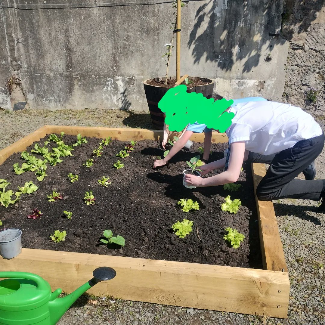 SGlobalgroup's tweet photo. The skills for the future class visited the new growing space in the walled garden in Gourock today. Thanks to Bruce from Shore street gardens for inviting us along. Such a great resource on our doorstep. #SustainableFuture #gardenschool #growyourown #skillsforthefuture https://t.co/a4WBAip7Gf