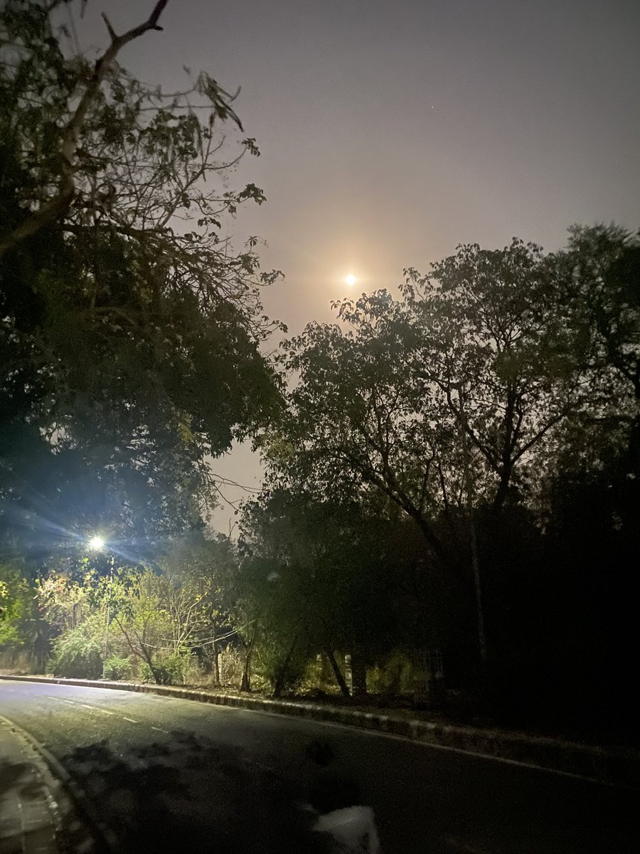The full moon 🌕  comforts and pleases depending on our state of mind ! Jnu walks in summer are still delightful @JNU_official_50 #NatureFacts #naturephoto #moon #universe #sky