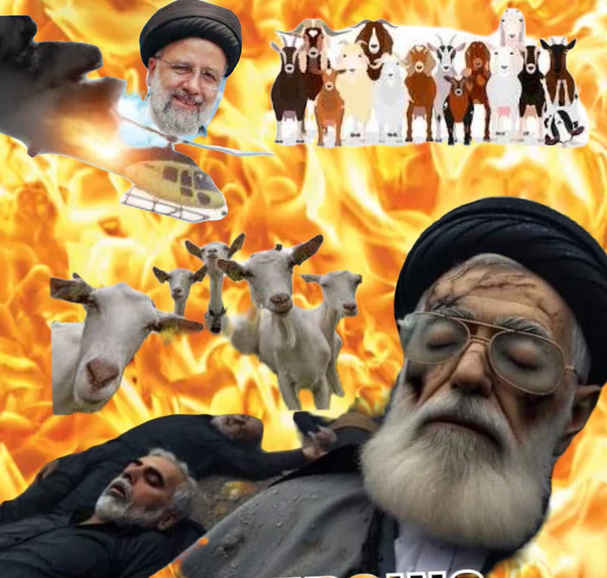 Dreams of 72 Virgins…😴💤🛌🐐🤣