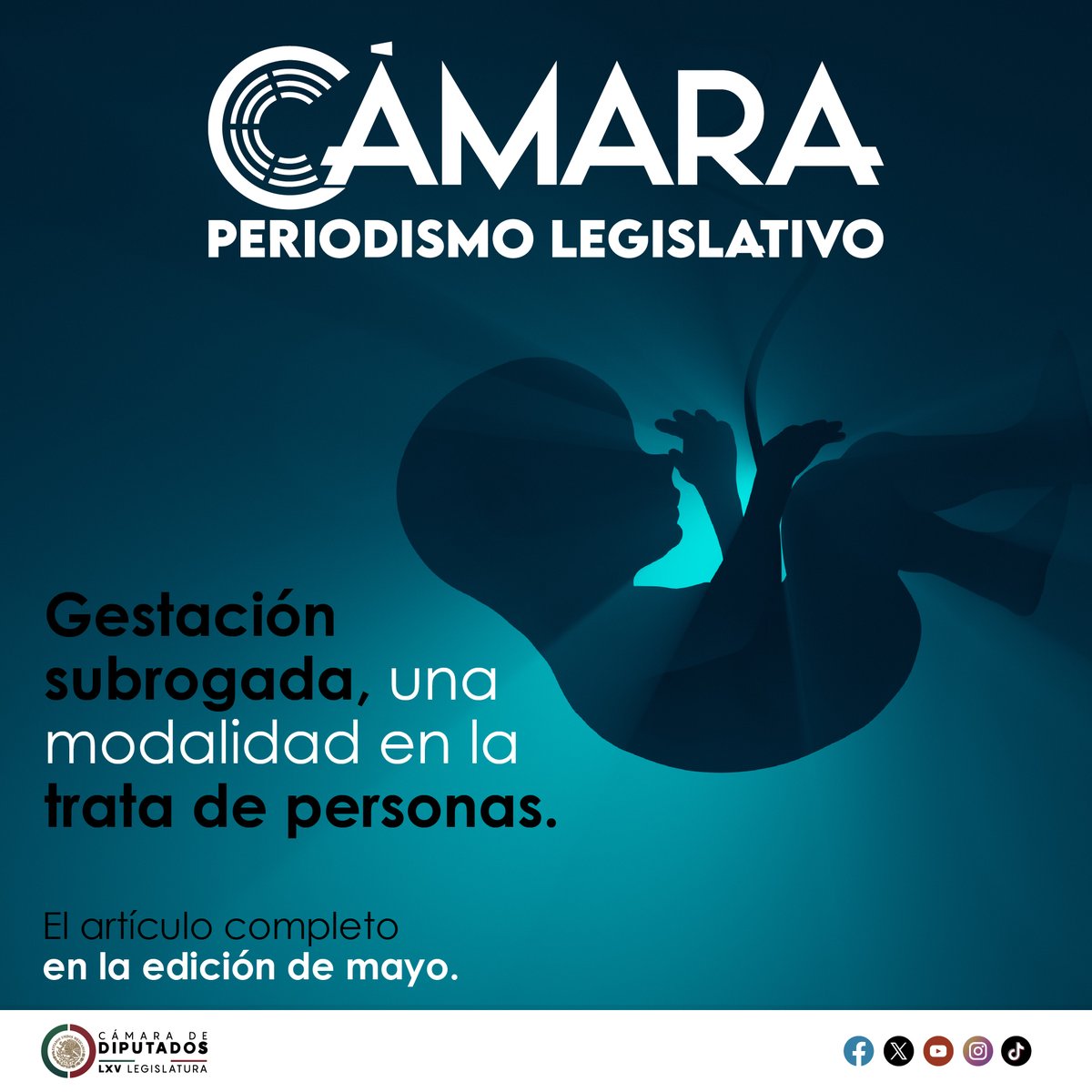 ✍️La Cámara de Diputados realizó en marzo el foro 'Prohibición de la maternidad subrogada mediante cualquier modalidad o acuerdo'. 

En la #RevistaCámara te explicamos más sobre el tema: bit.ly/3UWK9oG