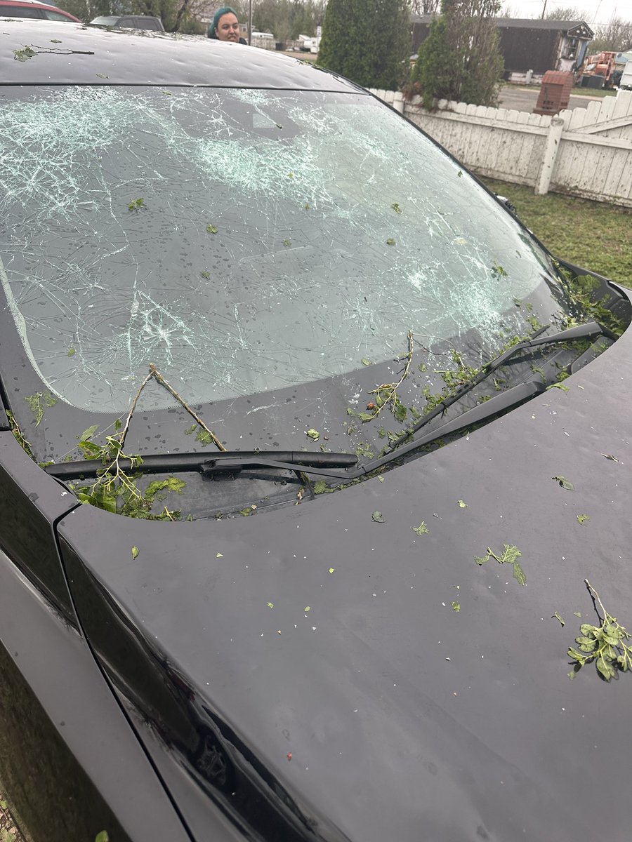 MrMackendopler's tweet photo. Pretty much all the glass in Yuma got destroyed. My gf’s car is totaled along with the other cars here. Pretty much everyone I’ve talked to has said their cars and house got windows busted. House siding has been destroyed, trees have been completely stripped of leaves #COwx #hail https://t.co/phtWkKFNFT