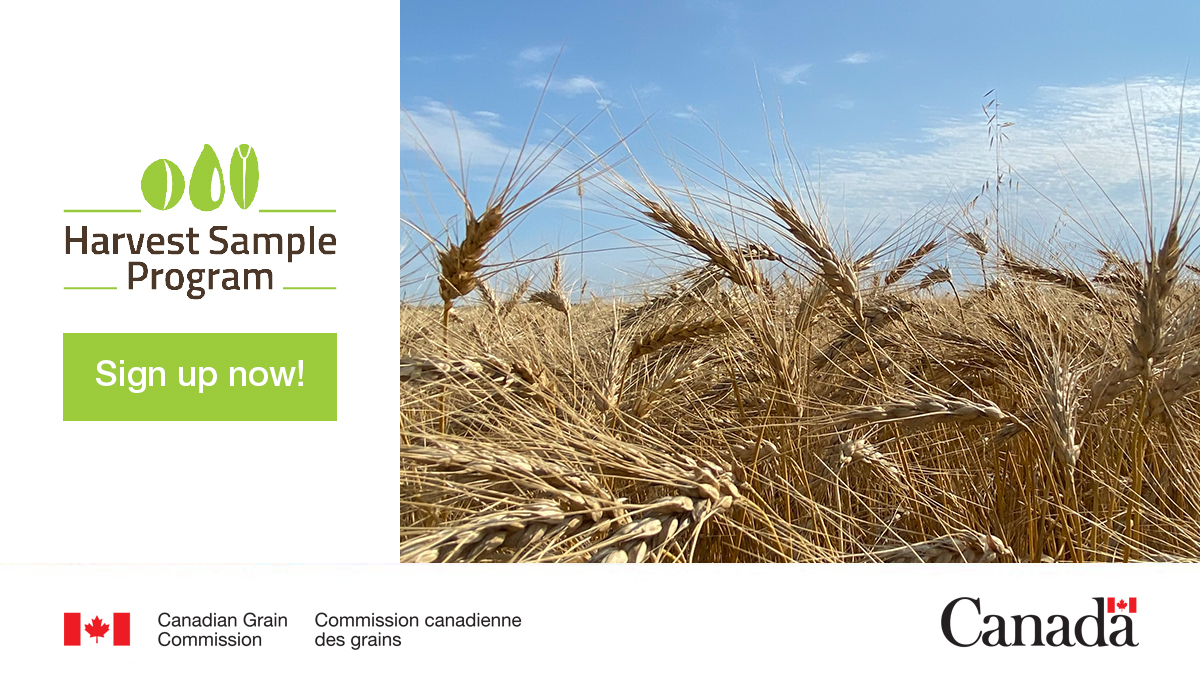 Not sure if you’re already signed up for our #HarvestSampleProgram? If you received a kit and submitted a sample last year, you don’t have to sign up again.

Signing up for the first time? Here’s how: ow.ly/Bhy850RJRbm #CdnAg #WestCdnAg #EastCdnAg