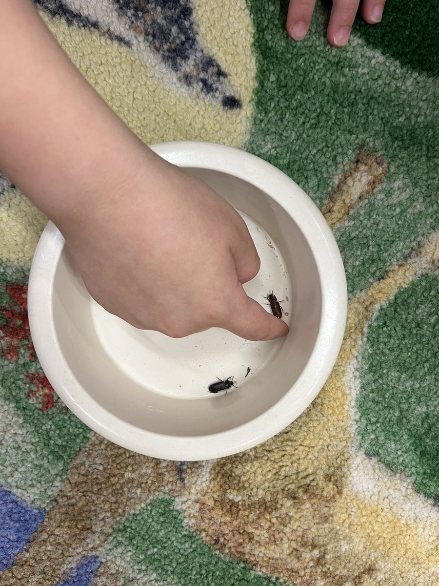 CMESsavage's tweet photo. Insect room https://t.co/lEB8lJLJQj
