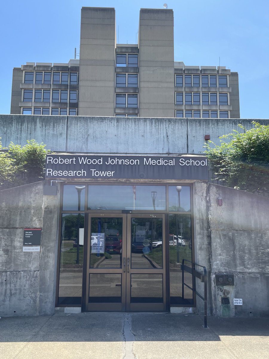 Elisabeth Bik tweet media