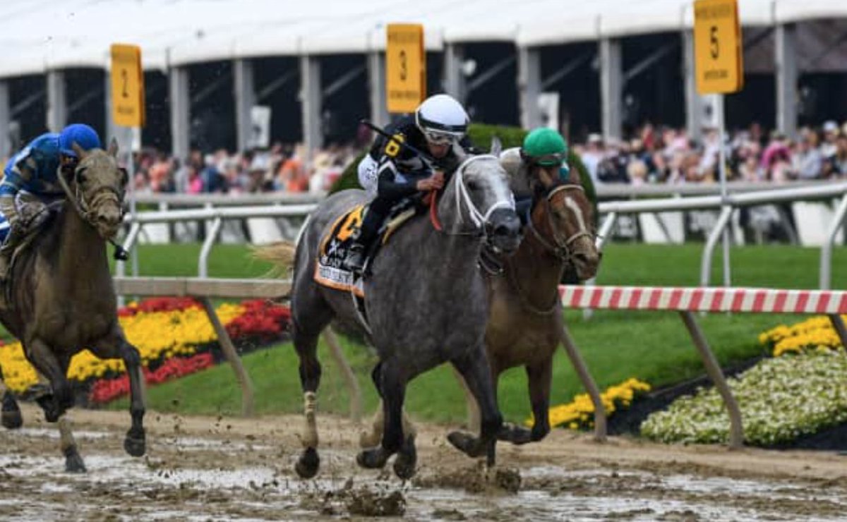 Seize the Grey's Preakness win leads weekend speed figures horseracingnation.com/news/Seize_the… 📸: Daniel Rankin