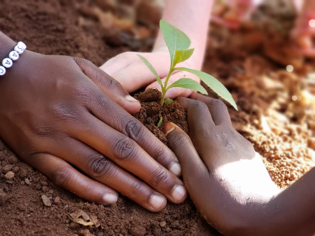 The fruit of life comes from the soil and the seeds you choose to plat. On our journey to planting 10,000 trees as we contribute to fighting global warming. @WEDO_worldwide 
#ProtectTheEnvironment
#ClimateActionNow