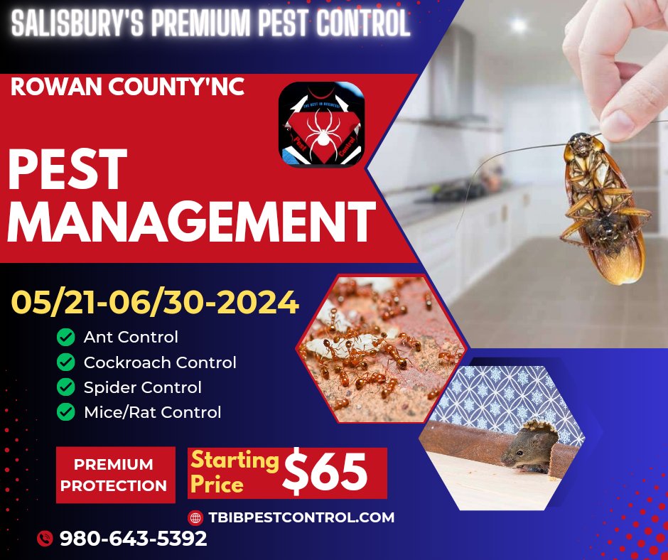 🔥LIMTED TIME OFFER ⏲️ PREMIUM PROTECTION! tbibpestcontrol.com #SpecialOffer #salisburyspremiumpestcontrol #GodMorningTuesday #SmartCustomer #CustomerSatisfaction #offers #pestcontrol #pest #bugs #CommunicationMatters #propertymanagement #residential