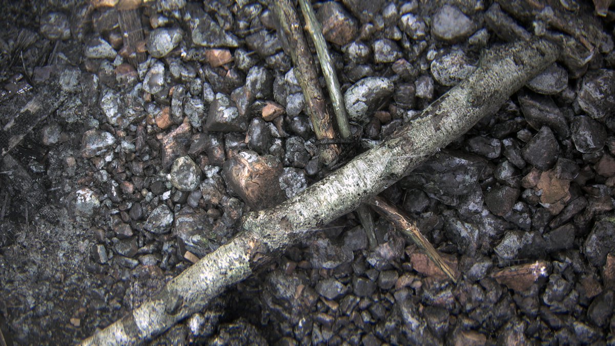 Shinobi 🖱📸 tweet media