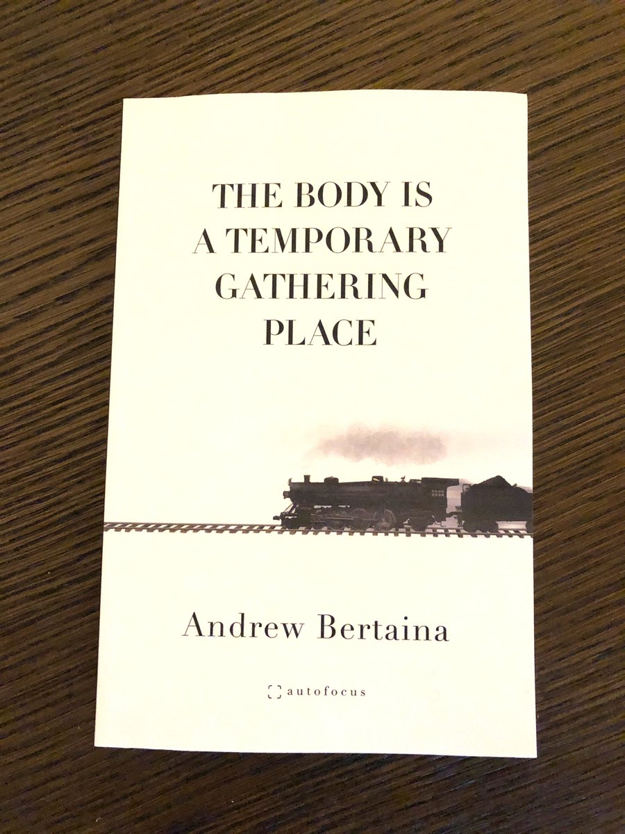 Thrilled to have a physical copy of this stunning collection of essays by @andrewbertaina! If you haven’t ordered a copy yet, you should now!