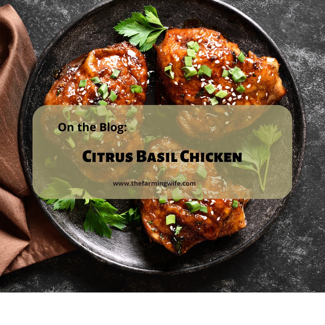 Highlighting the herb of the week; Basil, is this tasty(and easy) Citrus Basil Chicken. Thanks for reading! thefarmingwife.com/citrus-basil-c…