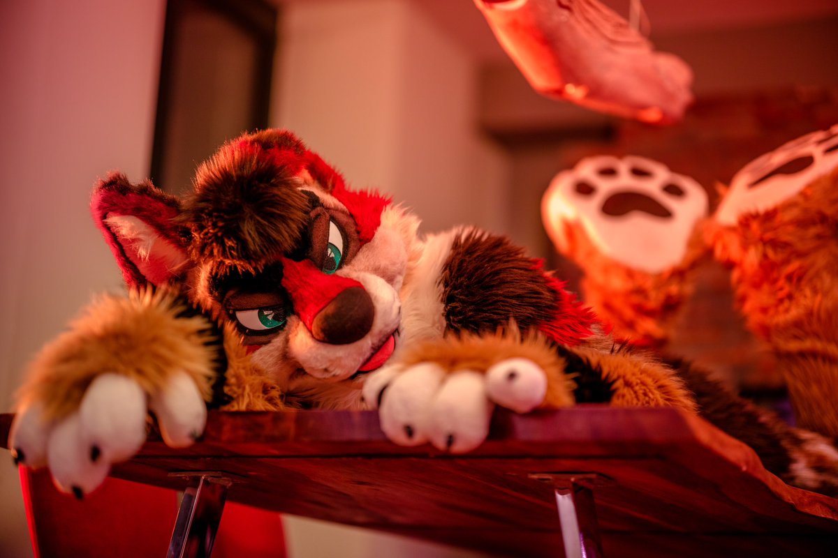 HechTheDog's tweet photo. I missed #PawDay β¦
But donβt worry, I kept these beans just for you π
#BFLC
π·: @CaptainChaotika https://t.co/4tgRNS8bOH