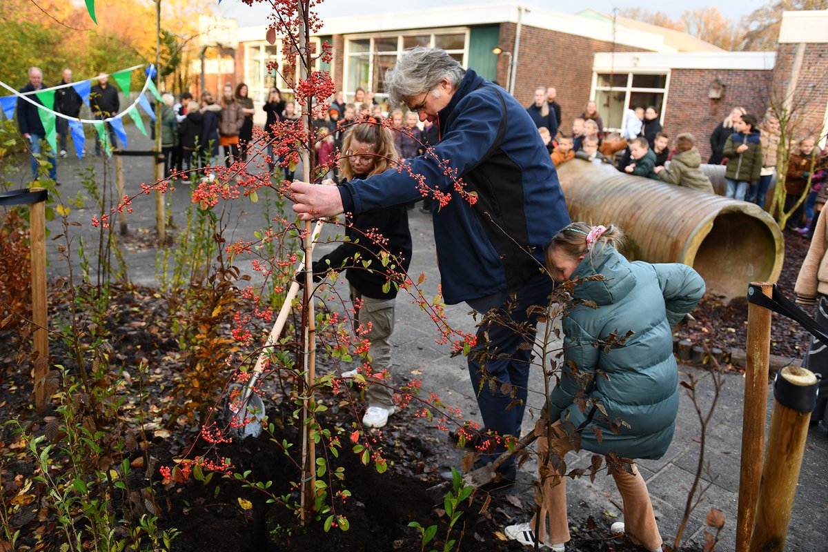 Meer groen op schoolpleinen, bedrijventerreinen en in het landelijk gebied! Subsidie voor meer bos en bomen in Groningen
#subsidie #natuur #Groningen

tinyurl.com/m87bhbk9