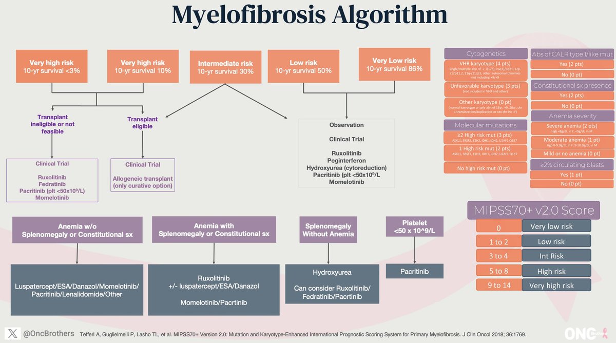 #HemeSeries: This is the #Algorithm we have used during our discussion with @doctorpemm for #myelofibrosis: - Keep an 👀 out for Clinical Trials & Allo Transplant - JAKi can/should be used irresepctive of JAK2 mut. #OncTwitter #MedTwtitter @CancerNetwrk #MPNSM #HemeTwitter