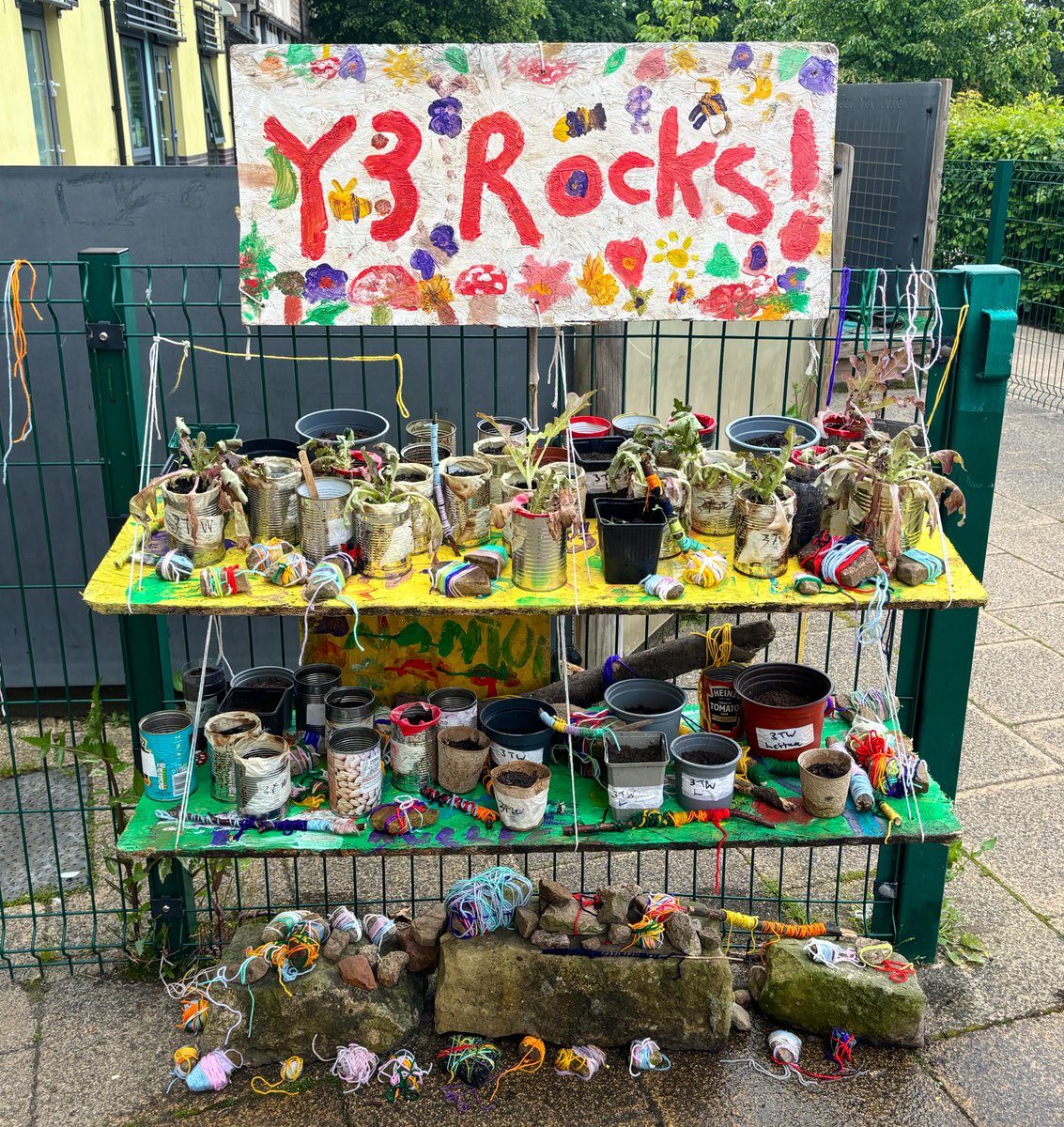 MrsRScotty's tweet photo. Mr Field had a very hard decision to make this afternoon….judging the overall winner of the Sustainable Salad Garden Challenge! 🥇 🥬 I was blown away with everybody’s efforts with this whole school challenge. Watch this space for the results….Which is your favourite? @The_RHS https://t.co/5Z9idHvwDN