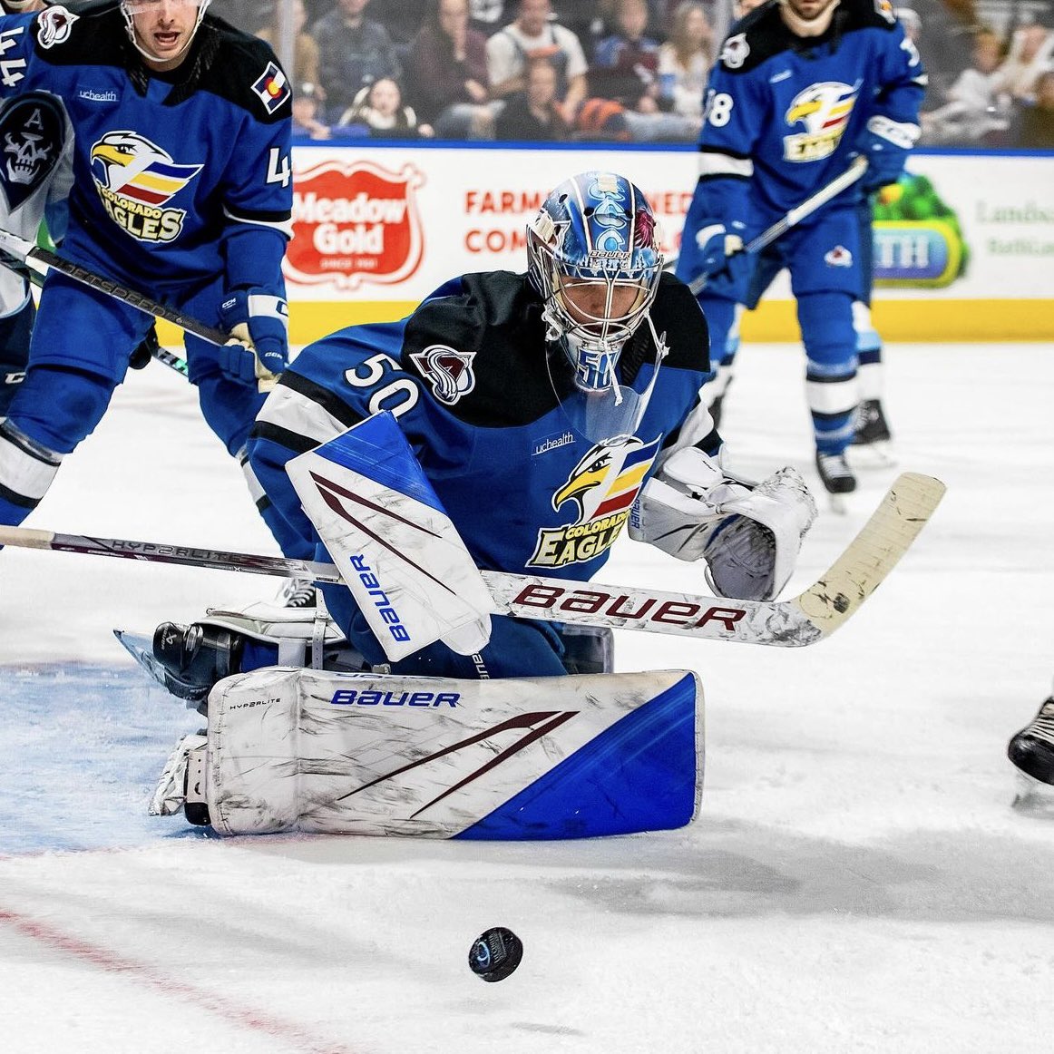 Colorado Eagles tweet media