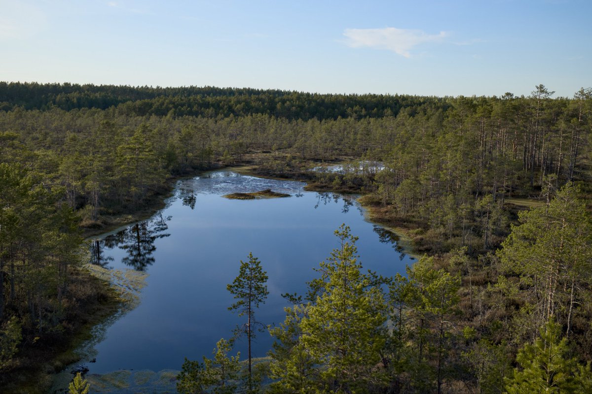 When you connect with nature, you connect with your true self. Or rather - nature reminds us and reflects us our true essence, beyond the struggles of the mind. #nature #awareness