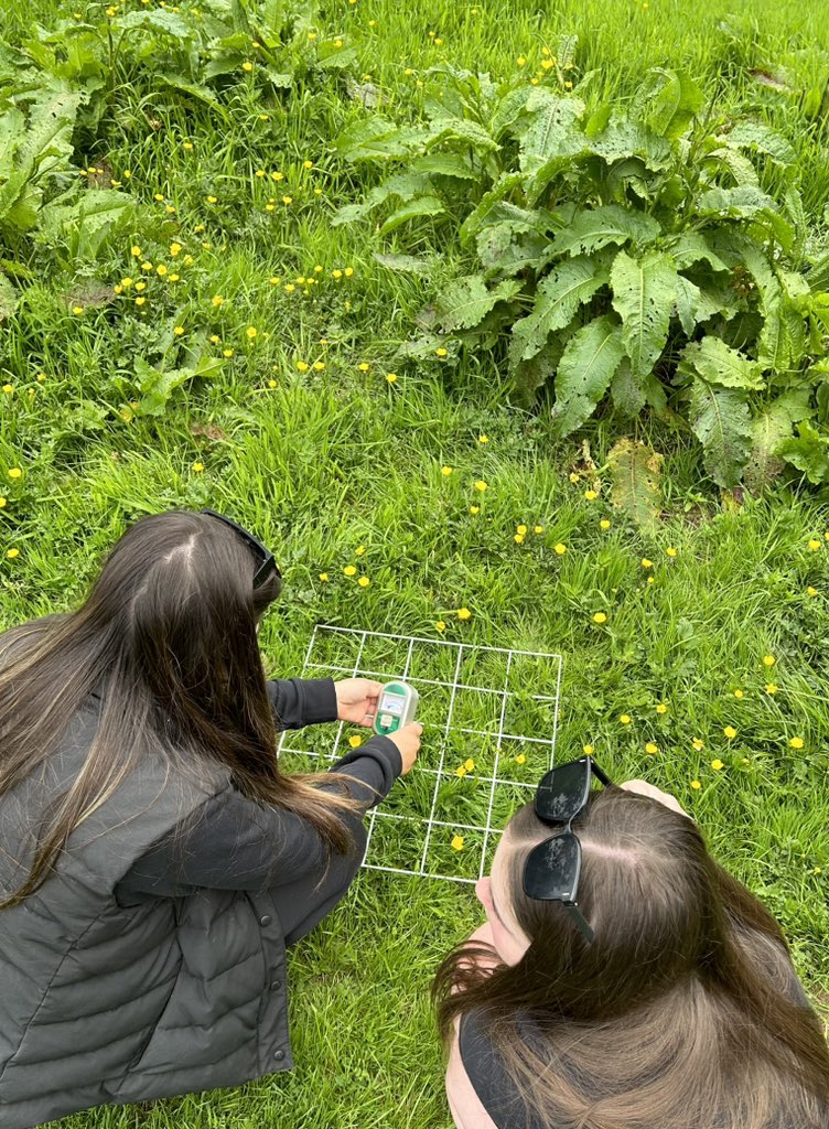 missmurphybio's tweet photo. Had a great day at Mugdock Country Park trying some different sampling techniques! 

Making the most of the sunshine and outdoor learning week! 🌞🌿🐛 @BoclairBiology https://t.co/pfgYvMUAaP