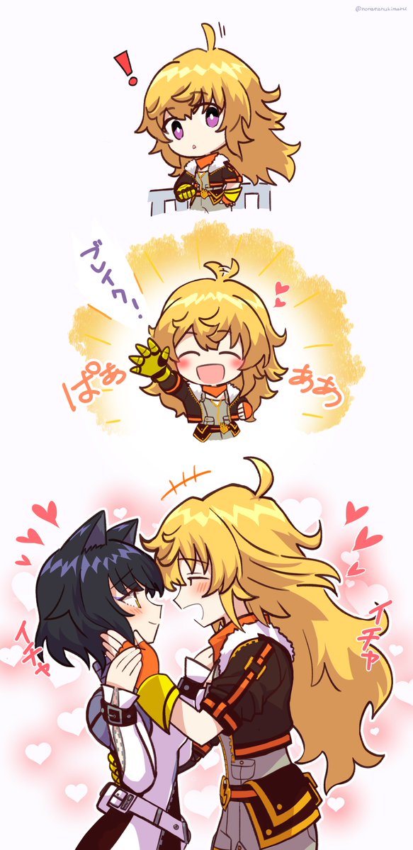 野良たぬき tweet media