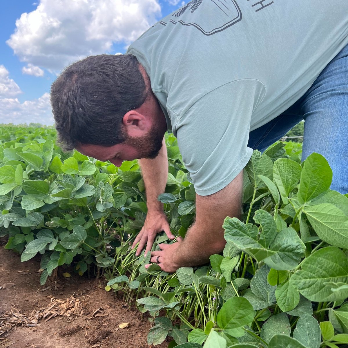 We had the pleasure of visiting @AlexHarrell21 at his farm in Georgia last week. We scouted fields, showcased his use of drone technology, shared insights about this year's growing season and how we can work together to push production limits. Thanks for having us, Alex and for
