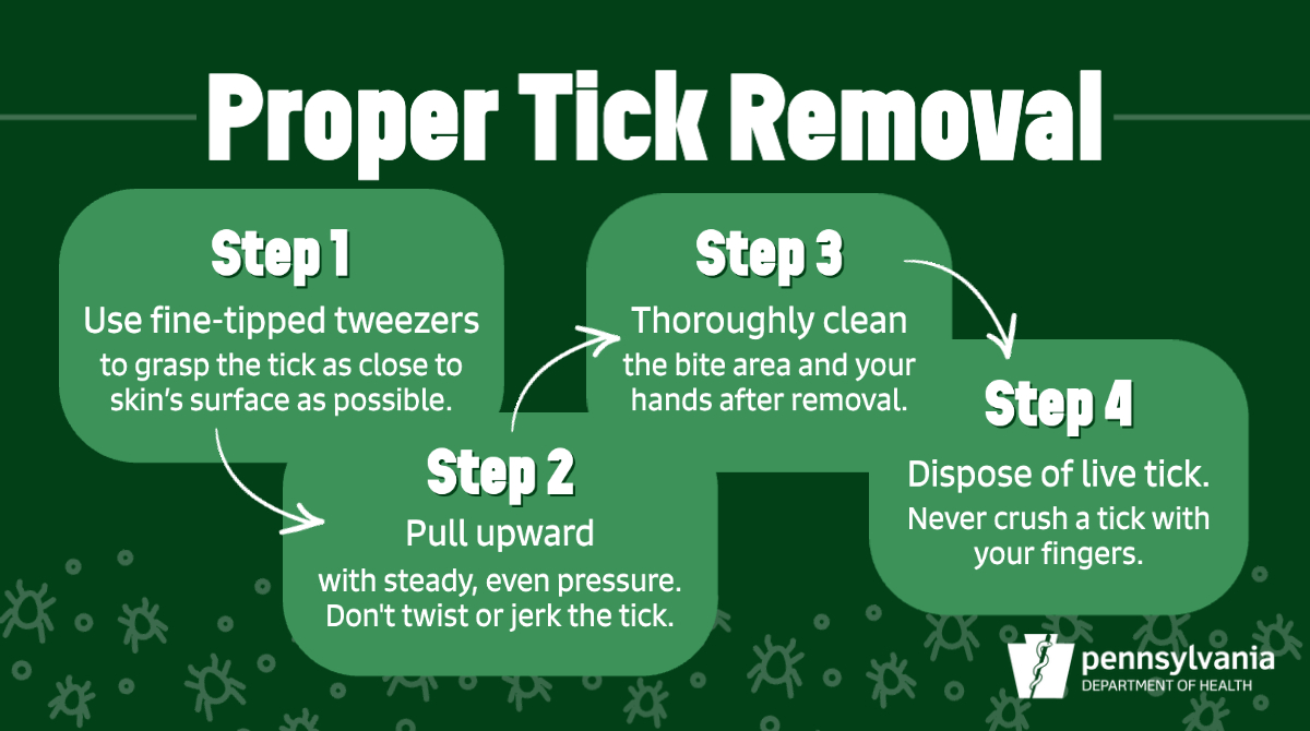 Ticks are everywhere in PA! If you find a tick on your body, there's no need to panic—the key is to remove the tick as soon as possible. Follow these instructions to remove an attached tick ⬇️