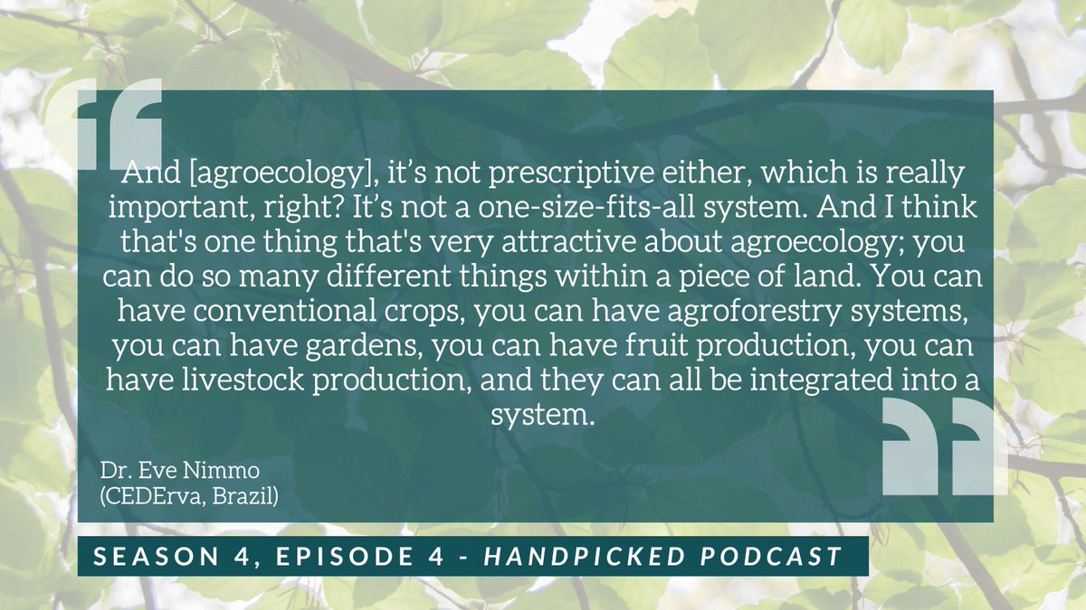 Make sure to check out the next chat with the #VoicingChange team in episode 4! 🌳🌲

This quote from Dr Nimmo <a href="/CedervaB/">CEDErva</a> is just one of many insights on #agroecology #agroforestry in Canada and Brazil
