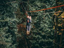 Wildplay. Ask Council your hard-hitting questions 40 feet in the air!