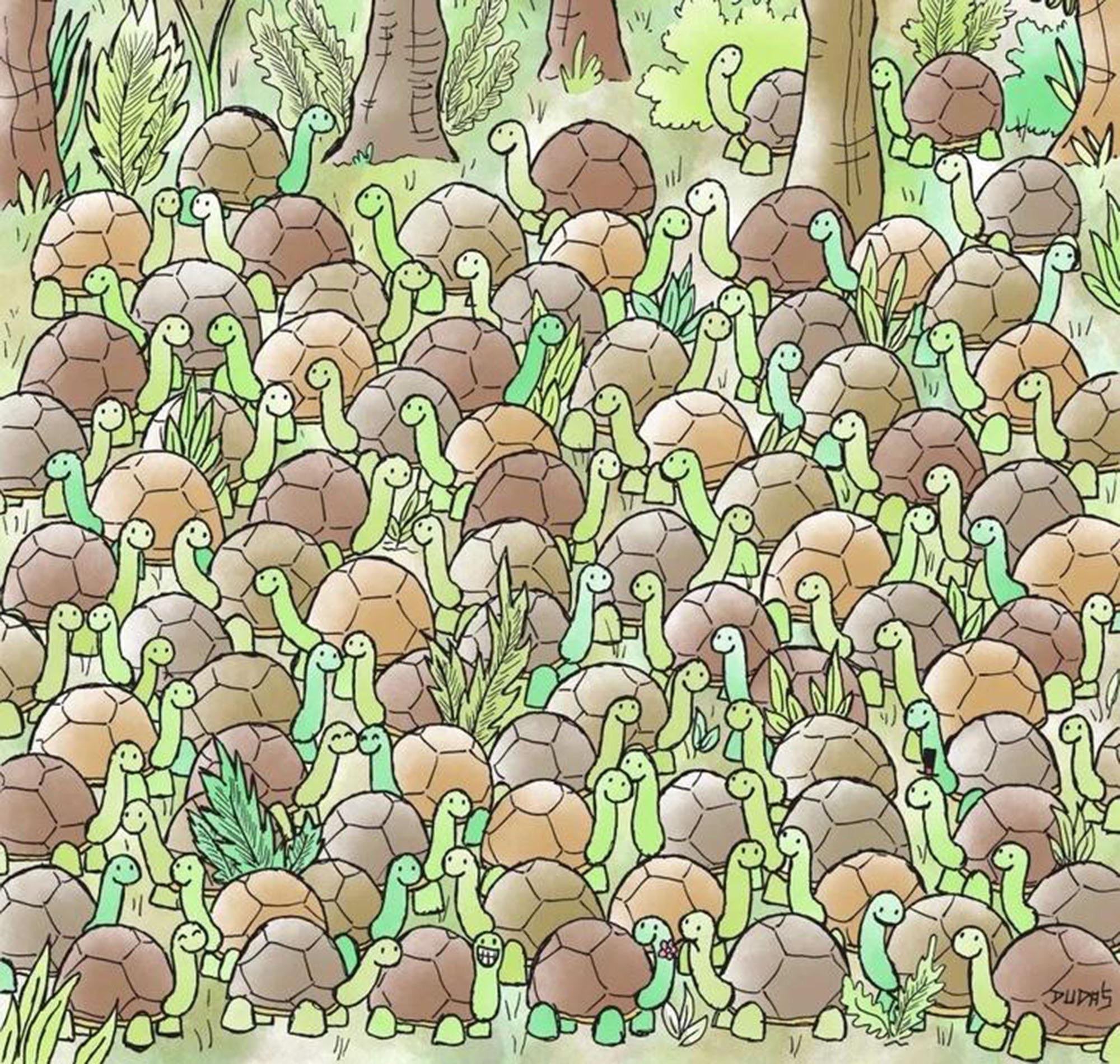 GOHSfAuW0AESKCe?format=jpg&name=large