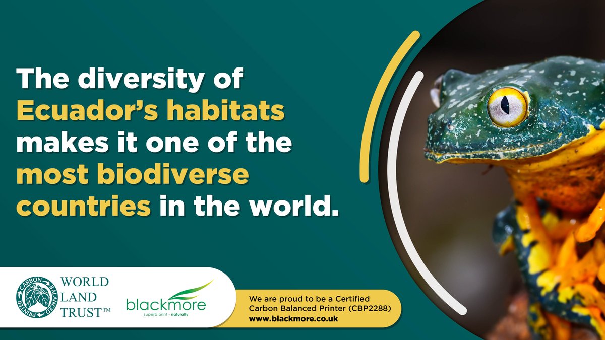 BlackmorePrint tweet media