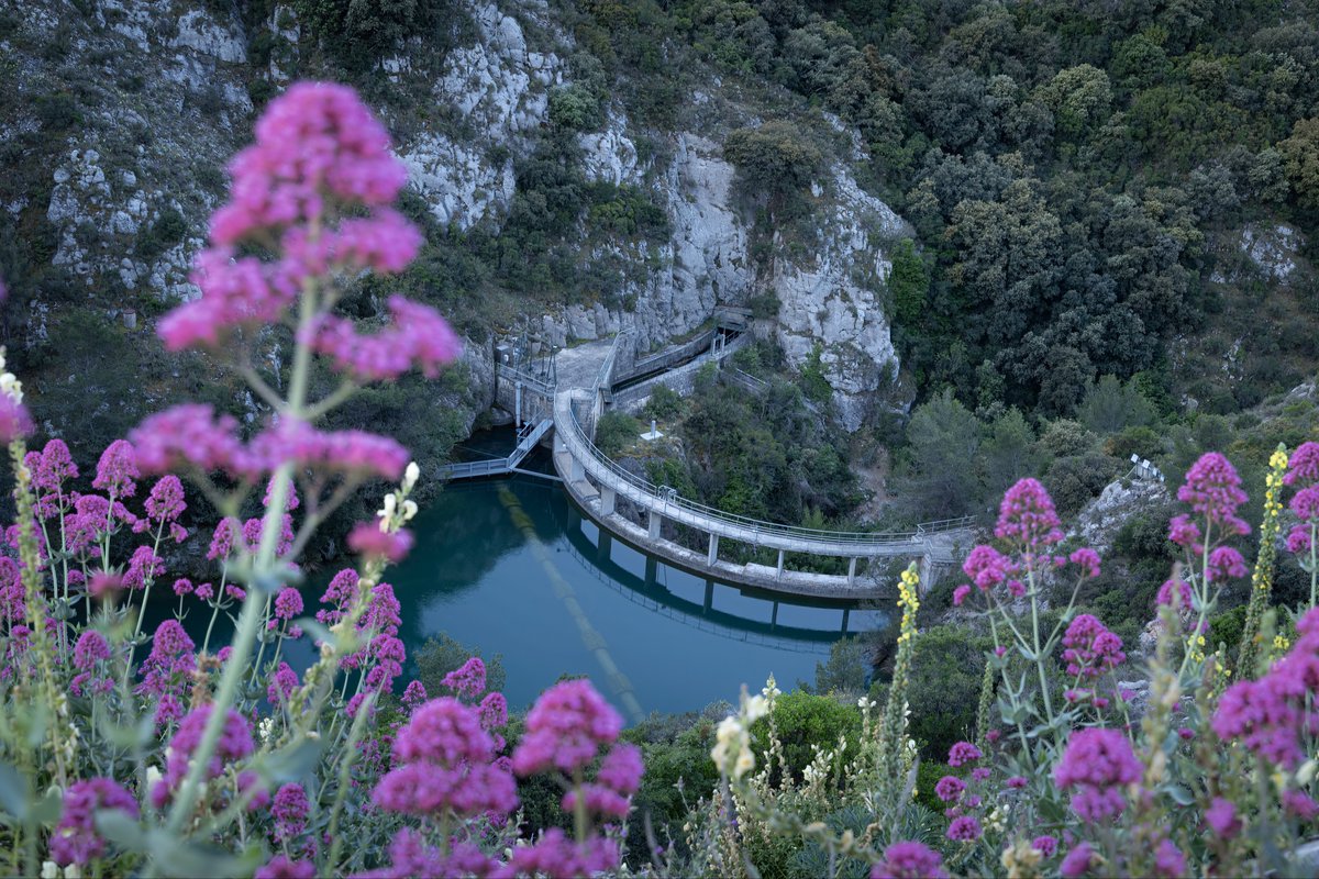 Spillway of the Bimont dam at dawn near Aix-en-Provence, France.

#dam #spillway #barrage #Bimont #AixEnProvence #France #flowers #fleurs #construction #manmade #dawn