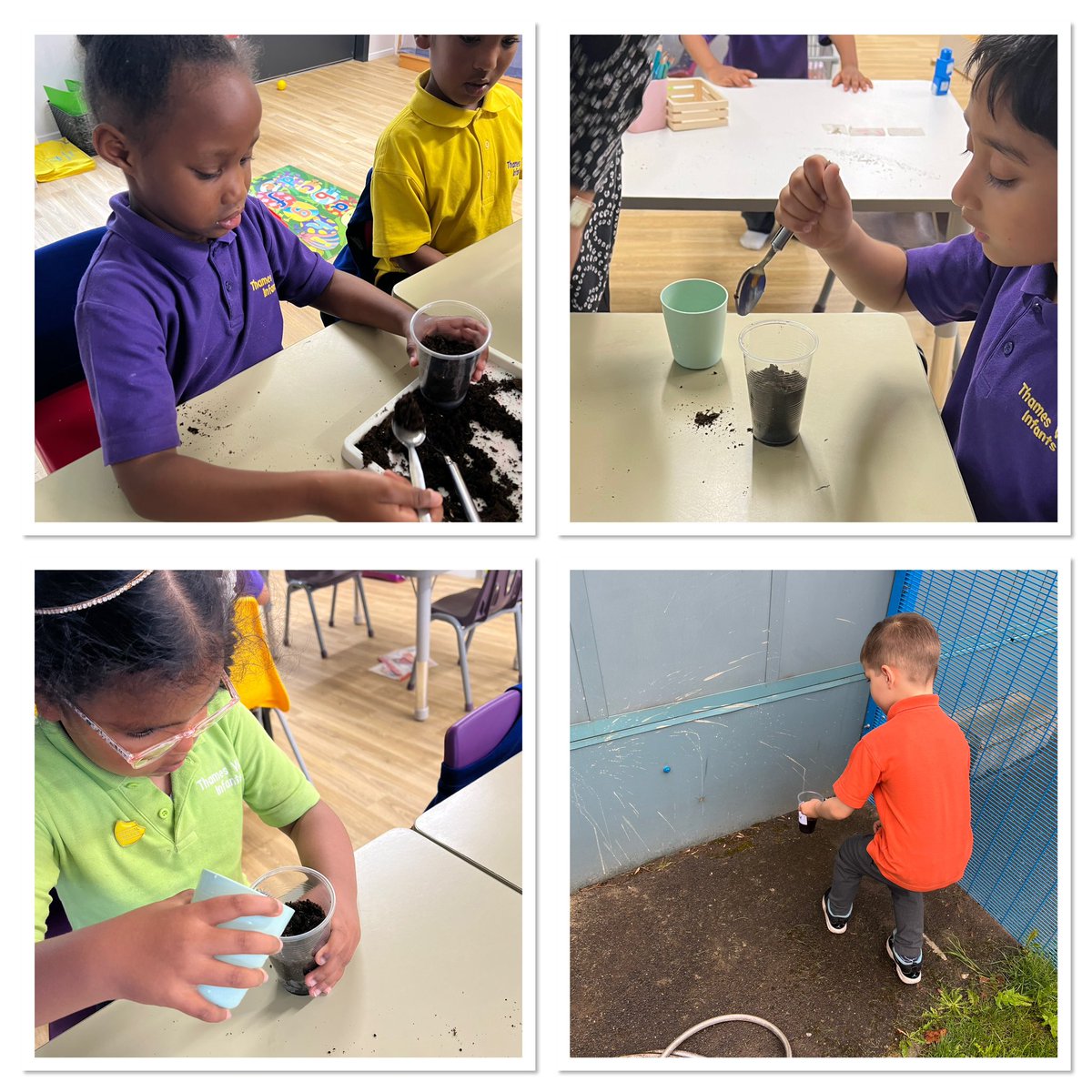 Today in Science children learnt what plants need to help them grow. They then planted their own seed, watered it and placed it outside for it to get some sunshine! We can’t wait to see it grow 🌻@RebeccaolleyTVI @TVInfants @AdamDobsonTVI