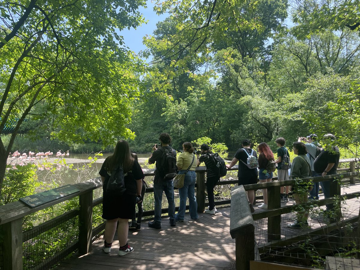 Toby Klein tweet media