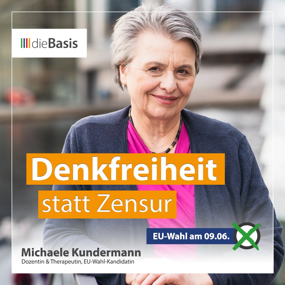 Die EU hat mit dem Digital Services Act (DSA) als Ablösung des deutschen Netzwerkdurchsetzungsgesetzes ein äußerst schwammiges Gesetz geschaffen, das Einzelpersonen und Klein- und mittelständische Unternehmen nahezu beliebiger staatlicher Willkür ausliefert und sie zu