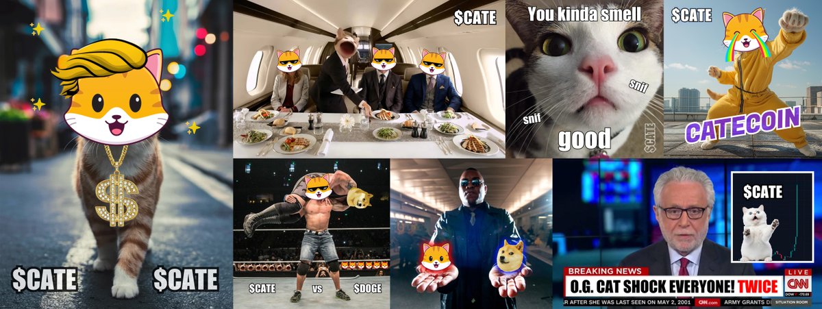There is no waiting in crypto!
Only buidl, hodl, shill 🛠️🧑‍💻💪🌍🚀

All $CATE memes are posted in our TG channel: t.me/catecoin 😻😹 (Media topic)

Grab a meme -> spread the word🫵🫶
#memecoins #catlovers #CateCoin