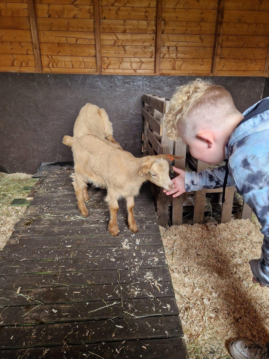 BSpaceUK's tweet photo. Today's AP were very excited to meet the babies 🐐 and had a lovely end to the half term doing some desensitisation work with them, followed by a drive to Bridgnorth to take Worzel for a walk by the river. Sometimes, the things we take for granted can mean the world to someone https://t.co/mJlOItLWNf