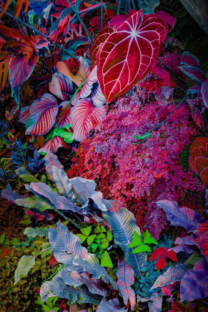 This vibrant world