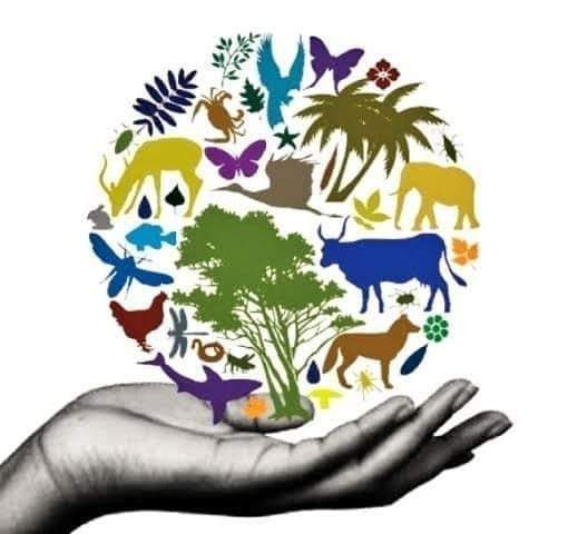 மே 22‌ #பன்னாட்டு_பல்லுயிர்_பெருக்க_நாள் #InternationalDayForBiologicalDiversity