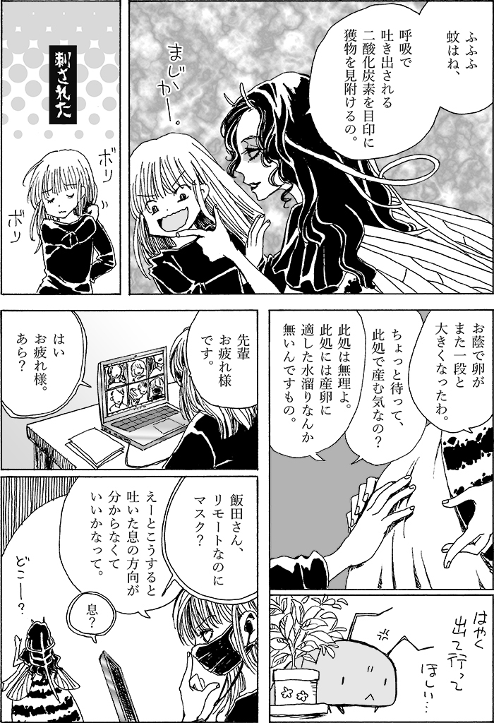 蚊姉さん更に続き。 (1/1) 