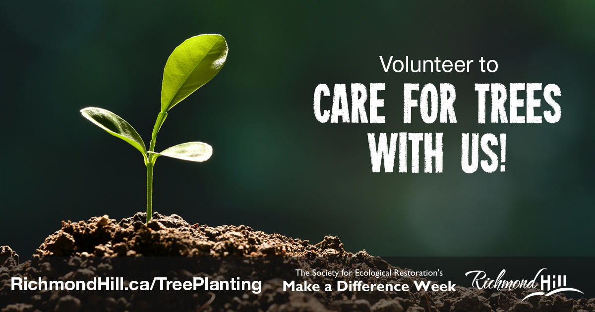 myRichmondHill's tweet photo. Roll up your sleeves with us during @SERestoration's #MakeADifferenceWeek! We're hosting a tree care event at David Dunlap Observatory Park on June 2 from 9 to 11 a.m. and need passionate volunteers. Who's in?! Register at https://t.co/NFBX9YaJDc. https://t.co/mu3Ubq7LMK