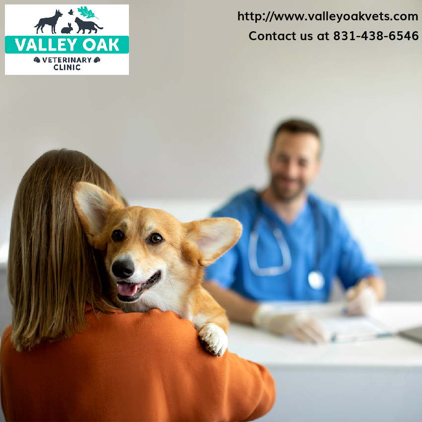 Our specialists are committed to providing prompt and quality care to your furry friends. 🐾
Reach out today. 📱 #EmergencyAndCriticalCare #EmergencyCare #AnimalCare #PetCare #PetCareNearMe