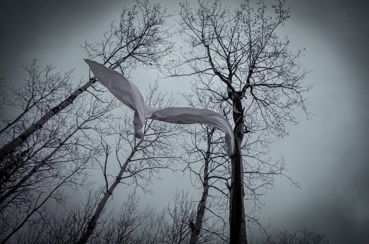 Brandi Morin tweet media