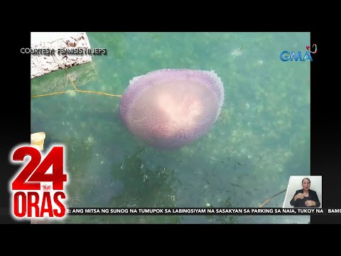 VIDEO: 24 Oras Part 4: Giant dikya; modus ng pekeng travel agency, atbp. gmanetwork.com/news/video/665…