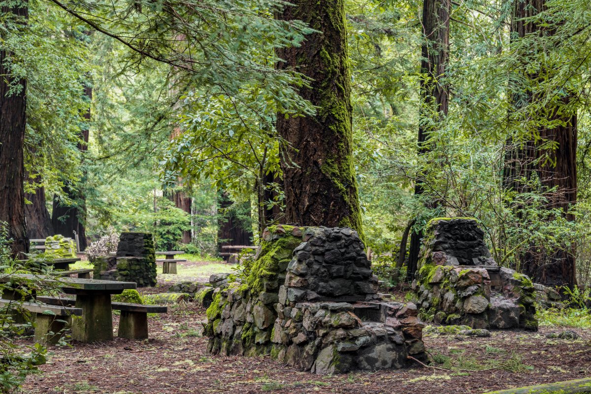 Honor our heroes this Memorial Day with free admission to 143 California State Parks! On May 27, 2024, veterans, active duty, and reserve military members can enjoy the beauty of our state parks at no cost. Check the list of participating parks at parks.ca.gov/NewsRelease/12…