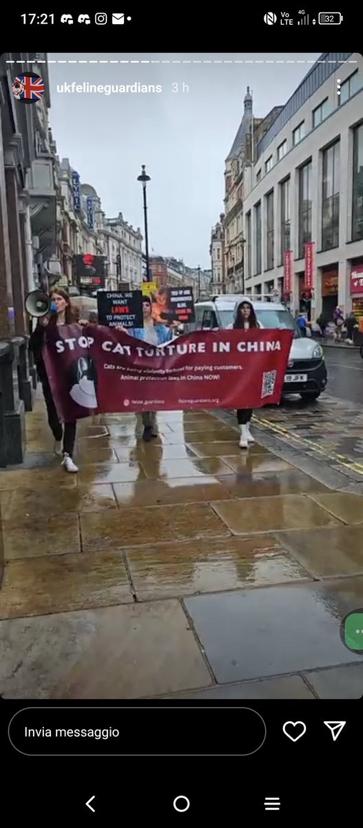 . #helpfelineguardians #investigateonlinecattorture #felineguardians #felineguardianswithoutborders #animalprotectionlaws #animalabuseawareness #chinacattorturering #antianimalabuse #animalrights #animalrightsactivist #London #cats #felines