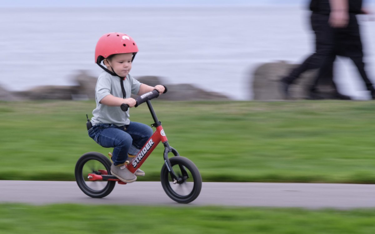 #AlphabetChallenge #WeekU ‘U’ is for ‘Undistracted’ All this lil’ guy’s attention is *focused* #childhood #bike @StriderBikes