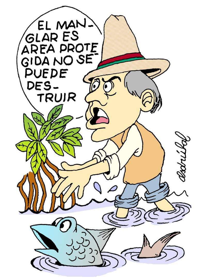 A sus 97 años, ASDRÚBAL DE LA TORRE, nos sigue regalando sus caricaturas cargadas de fino humor e ironía.
Médico, artista gráfico, andinista, pescador y carpintero.
UN GRAN SEÑOR !