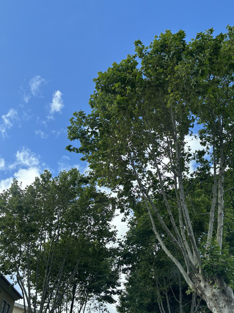 Até não se está mal…