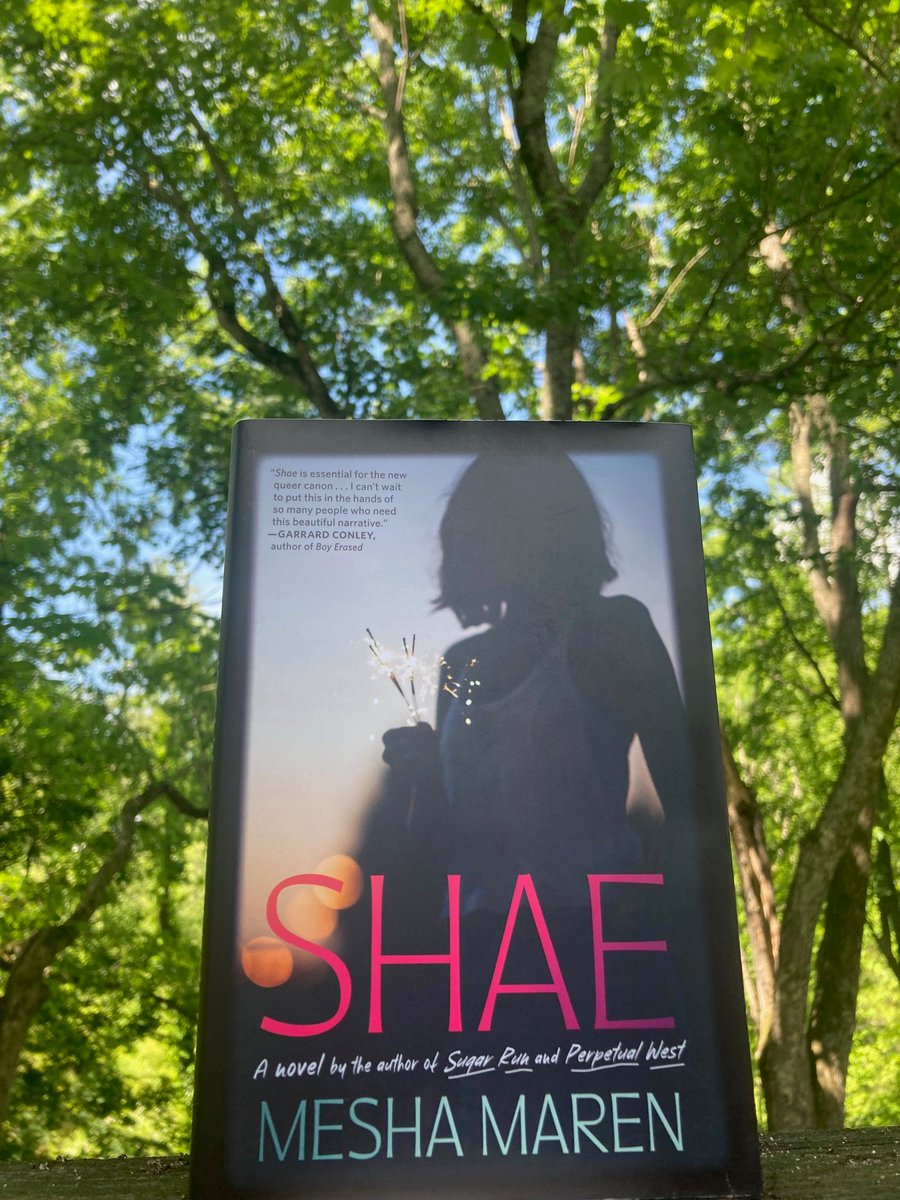 Happy publication day to the genius @MeshaMaren and her genius book SHAE!!!