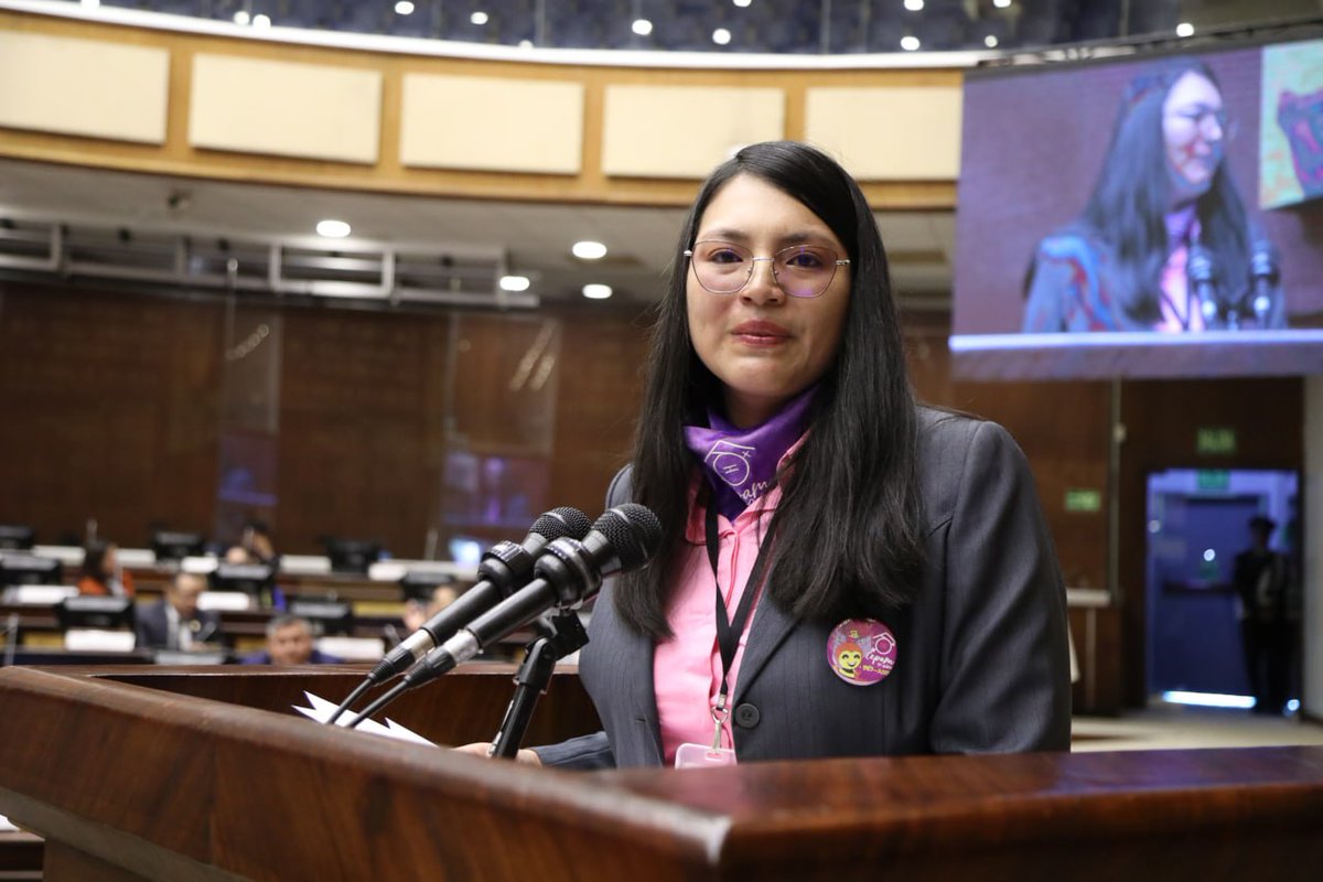 #LaNuevaAsamblea | Stefany Guillén, del CEPAM, inicia su intervención rechazando enfáticamente el decreto que transforma el Ministerio de la Mujer y DDHH en el Ministerio de Política Criminal y DDHH, porque representa una regresión de los derechos obtenidos a través de luchas