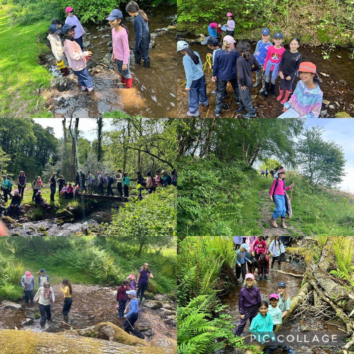 CroydonHighJnrs's tweet photo. Year Five had a fantastic day at River Horner 🏞️☀️  #CroydonHigh #CroydonHighSchool #EveryGirlEveryDay #WhereGirlsLearnWithoutLimits #GDST #GirlsDaySchoolTrust #EducatingGirls #GirlsSchool #YearFive #Nettlecombe https://t.co/LiRT2S5tdv